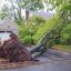 Storm Damage and Trees – What to Do?