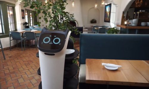 What robots can and can’t do for a restaurant