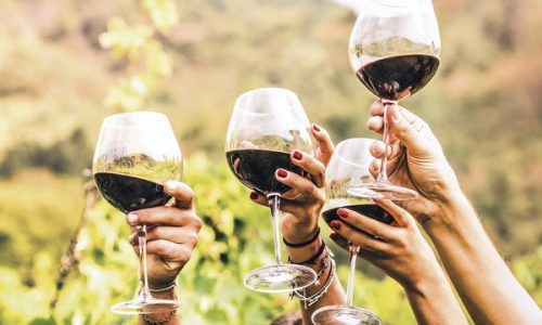 Long Island Wineries – Advantages of Taking a Wine Tour