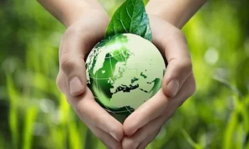 Importance Of Eco Friendly Products