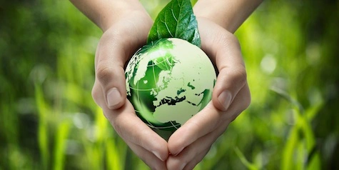 Importance Of Eco Friendly Products