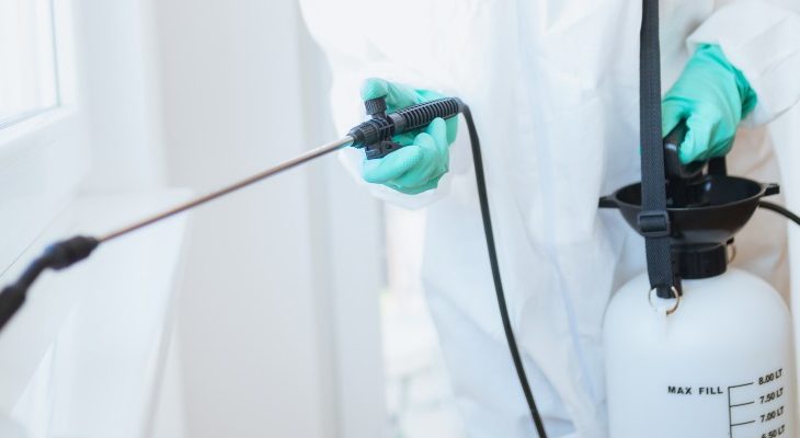 Five Things You Need to Know About Pest Control