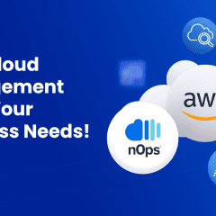 Expert Amazon Cloud Management for Businesses of All Sizes