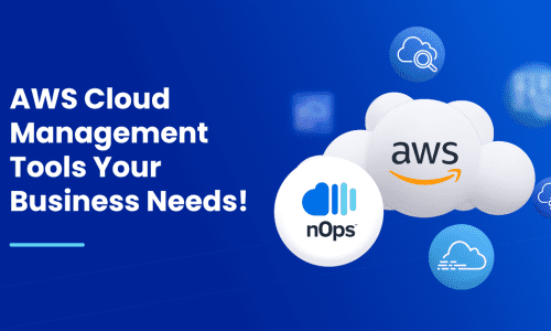 Expert Amazon Cloud Management for Businesses of All Sizes