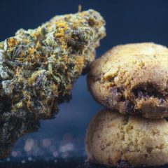 How to Buy Cannabis Edibles: 7 Tips You Need to Know