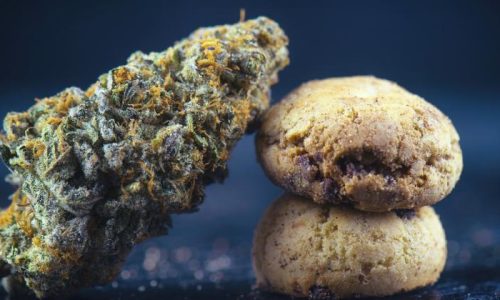 How to Buy Cannabis Edibles: 7 Tips You Need to Know
