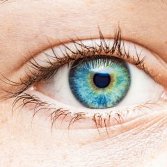 Understanding Eye Color: Genetics and Beyond