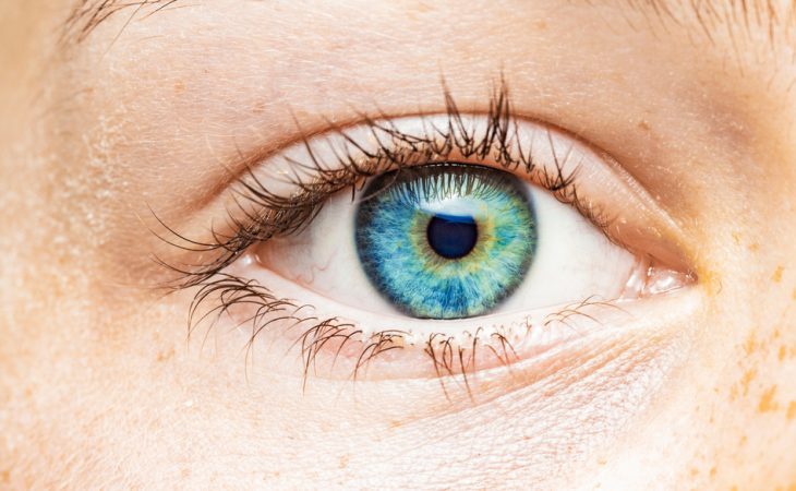 Understanding Eye Color: Genetics and Beyond