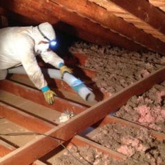 Is Insulation Removal Really Necessary? Find Out Now