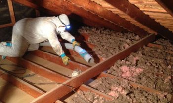 Is Insulation Removal Really Necessary? Find Out Now