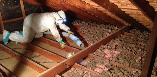 Is Insulation Removal Really Necessary? Find Out Now
