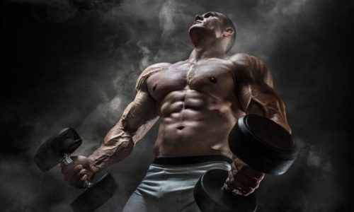 Find the Best SARMs for Sale in the USA