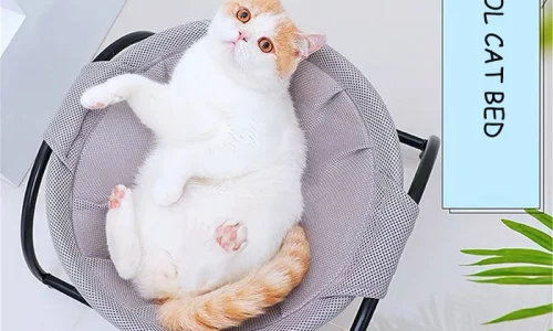 The Ultimate Guide to Choosing a Breathable Cat Hammock