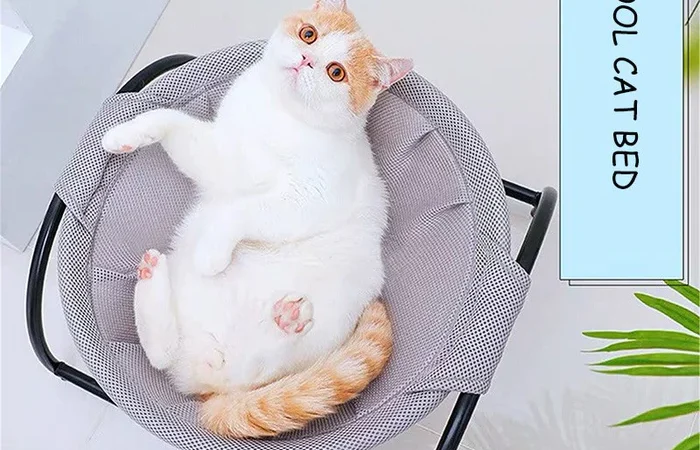 The Ultimate Guide to Choosing a Breathable Cat Hammock