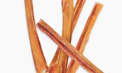 5 Reasons Bully Sticks are the Ultimate Dog Treat