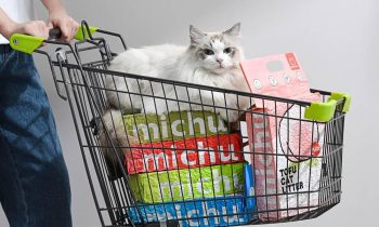 A Month of Freshness: How Michu Tofu Cat Litter Stands the Test of Time