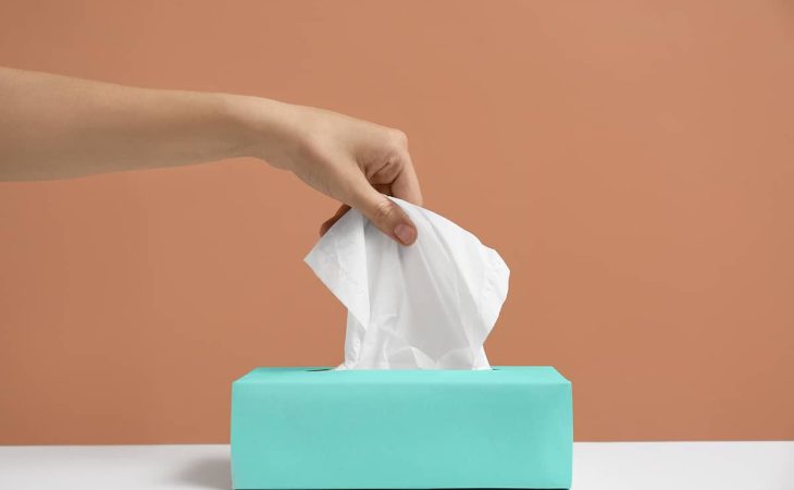 Tissue Box Sizes: Finding the Perfect Fit for Every Need