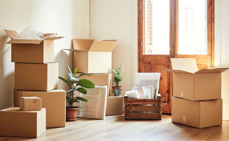 5 Essential Tips to Choose Your Orlando Mover