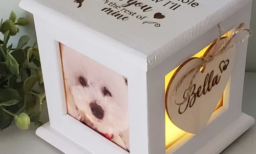 How to Choose the Perfect Pet Memorial for Your Furry Friend