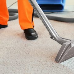 The Secret to Stain-Free Carpets: AllClean’s Professional Cleaning Techniques