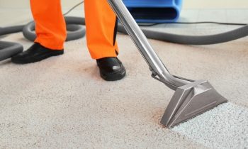 The Secret to Stain-Free Carpets: AllClean’s Professional Cleaning Techniques