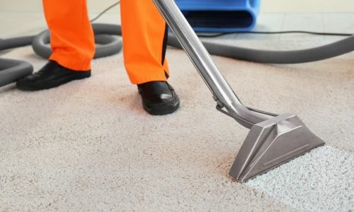 The Secret to Stain-Free Carpets: AllClean’s Professional Cleaning Techniques