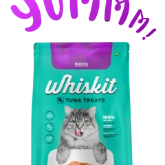 Top 5 Reasons to Switch to Whiskit Cat Food for Superior Nutrition