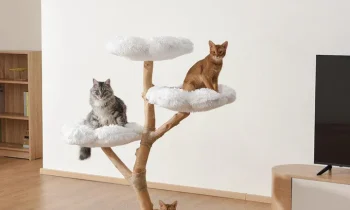 5 Benefits of a Cat Tree for Your Pet’s Mental and Physical Health