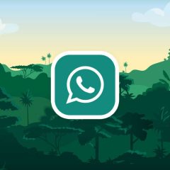 How to Download GB WhatsApp Safely: Everything You Need to Know