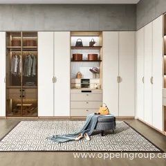 Luxury Walk-In Closet Installation: What You NEED to Know Before Buying