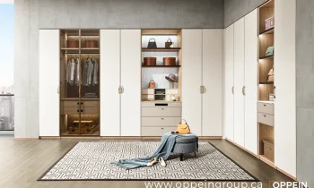 Luxury Walk-In Closet Installation: What You NEED to Know Before Buying