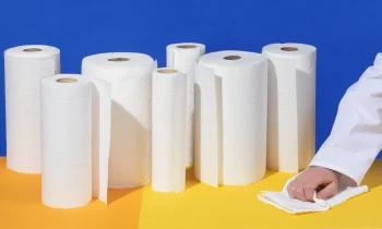 Why Buying Bulk Paper Towels is a Smart Choice