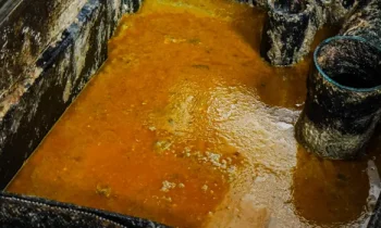 Grease Trap Odors: Hidden Dangers and Pro Tips to Eliminate the Stink