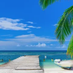 Why Dustin Rennie Is One of Belize’s Most Trusted Real Estate Experts