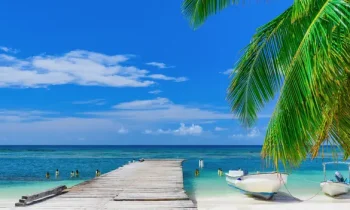Why Dustin Rennie Is One of Belize’s Most Trusted Real Estate Experts