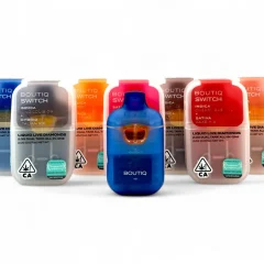 Where to Buy Boutiq Carts and Find the Best Flavors Online in 2025