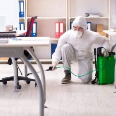 Why Office Disinfection Services Are Vital in Dubai’s Business Environment