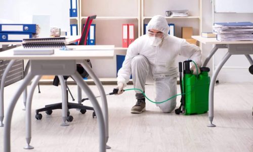 Why Office Disinfection Services Are Vital in Dubai’s Business Environment