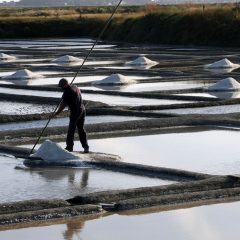 Pratiques écologiques de la récolte artisanale du sel de Guérande