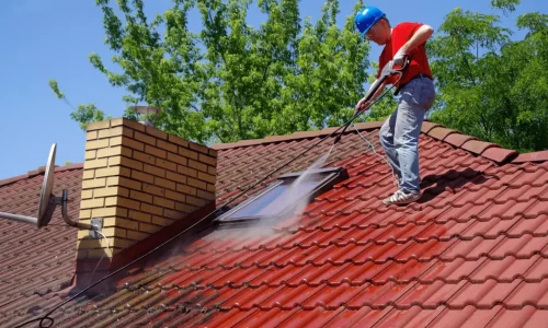 Why Regular Roof Cleaning and Gutter Cleaning Extend Your Home’s Life