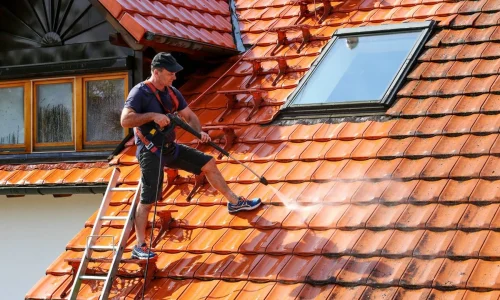 The Ultimate Guide to Finding Reliable Roof Cleaning Near Me